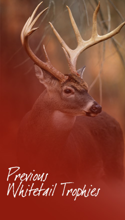 Previous Whitetail Trophies at High Adventure Ranch