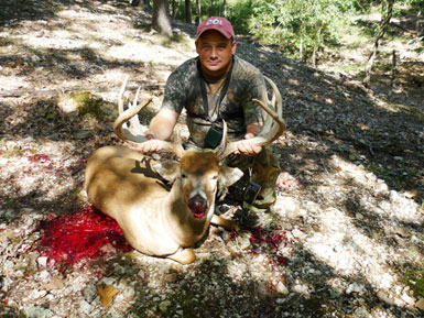 Whitetail Deer Antlers