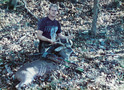 Previous Trophies: Whitetail 130-139