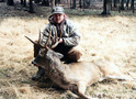 Previous Trophies: Whitetail 130-139